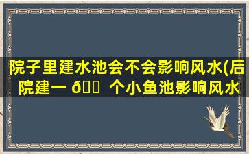 院子里建水池会不会影响风水(后院建一 🐠 个小鱼池影响风水 🐧 吗)